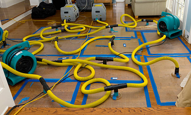 Professional Structural Drying And Dehumidification technician working in Watkins, MN